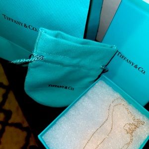 Tiffany and Co necklace